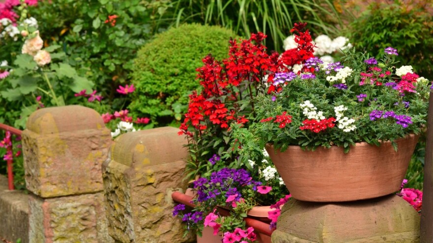 Odaberite pravo đubrivo za vaše biljke