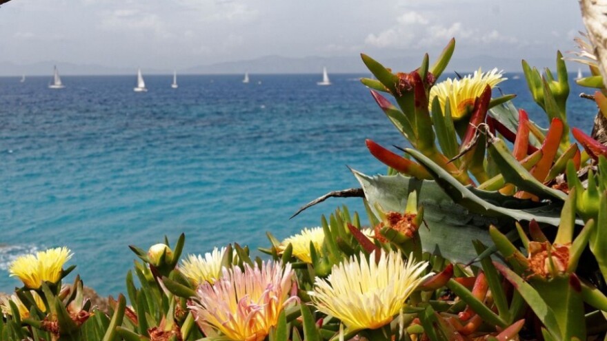 Sunce, more i cvijeće - Umag Floria 2016.