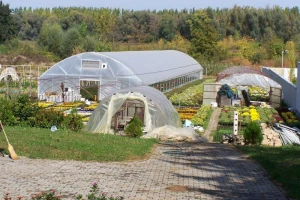 50% cvijeća prodaju na kućnom pragu