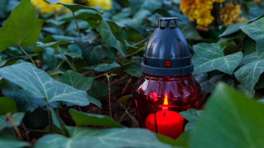 U listopadu smo uvezli cvijeća za 5 milijuna kuna