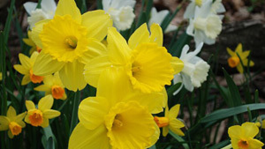 6. Eko-obrazovna manifestacija