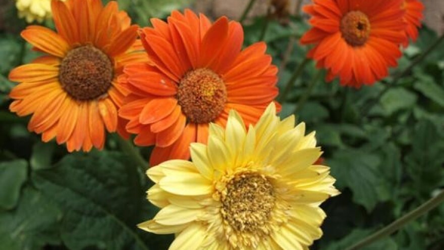 Konferencija poljoprivrede i prehrambene industrije