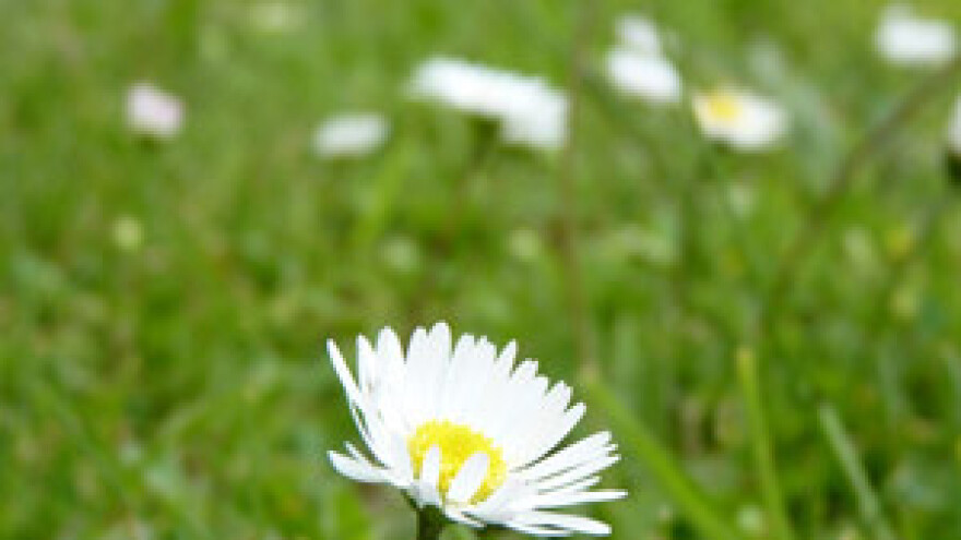 Objavljen drugi IPARD natječaj za Mjeru 301
