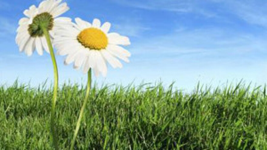 Država i ruralni turizam: Samo toplo-hladni odnos