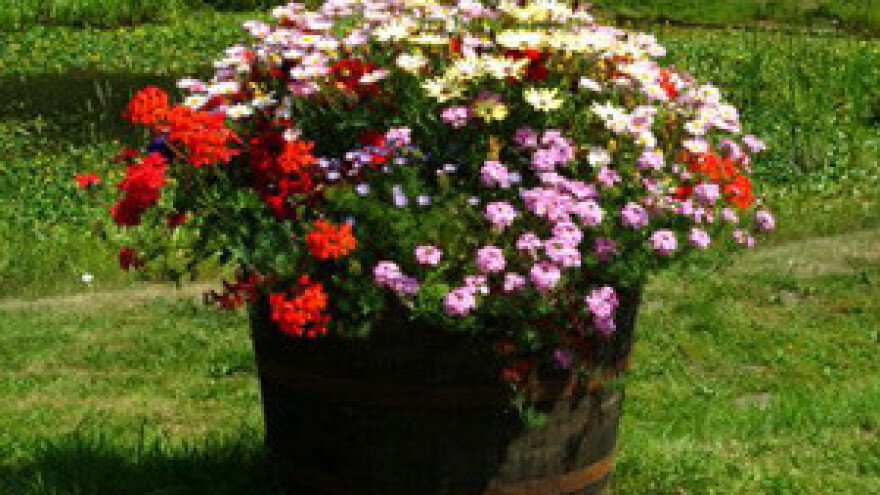 Produžen rok za podnošenje prijava za M 301 IPARD programa