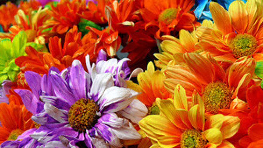 Flora Centrum Mundi 2012.