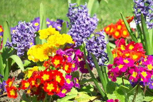 Završena manifestacija Flora Centrum Mundi 2012.