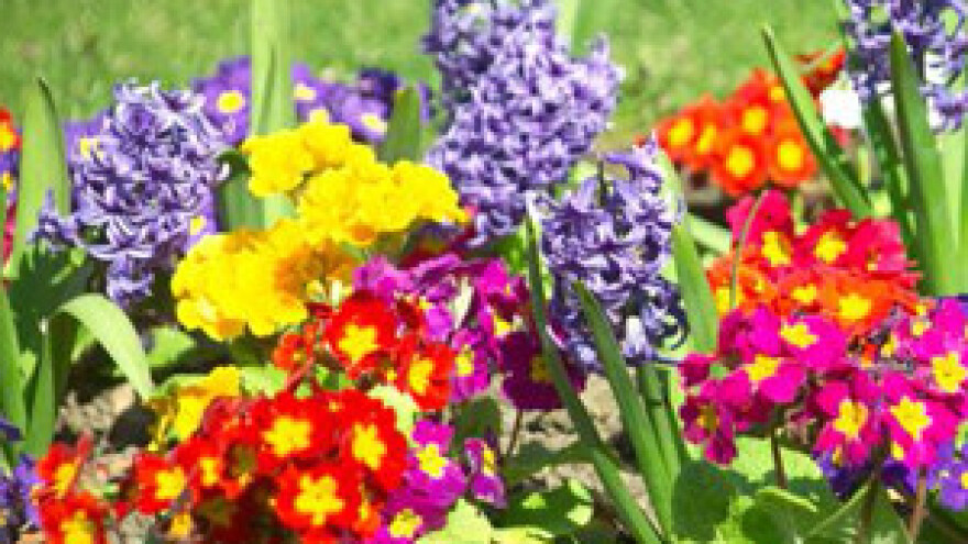 Završena manifestacija Flora Centrum Mundi 2012.