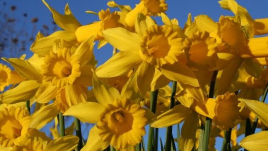 Održana skupština Udruge ekoloških poljoprivrednih proizvođača