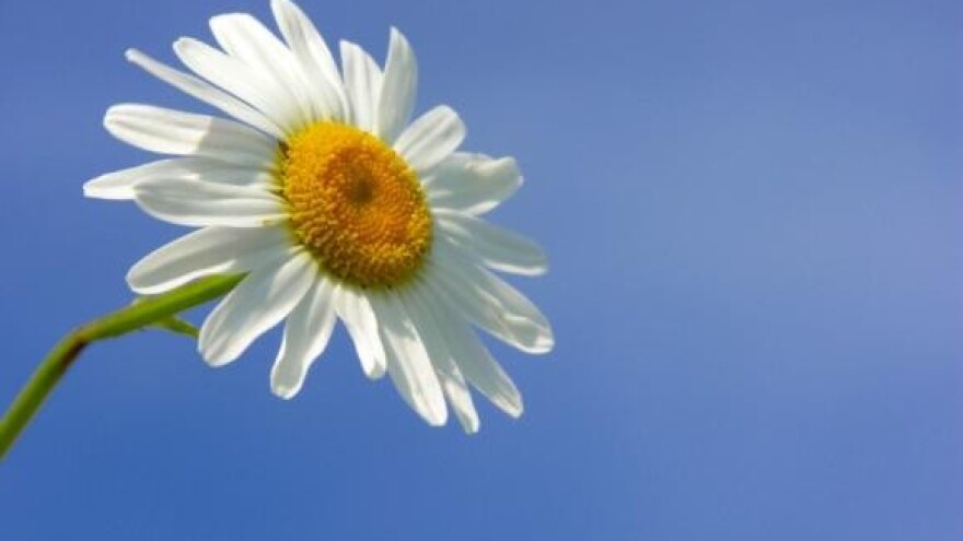 Strateški plan turizma Hrvatske