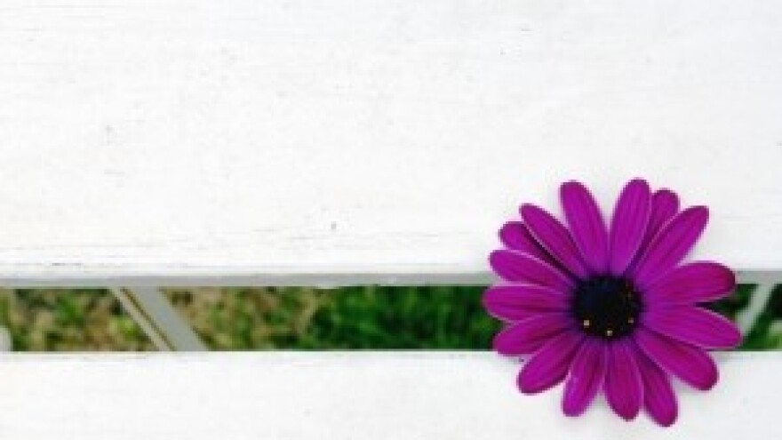 Pola milijuna kuna za ruralni turizam