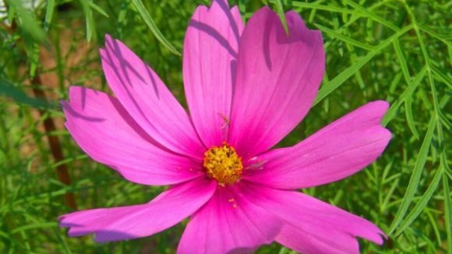 Hrvatski zahtjevi EU