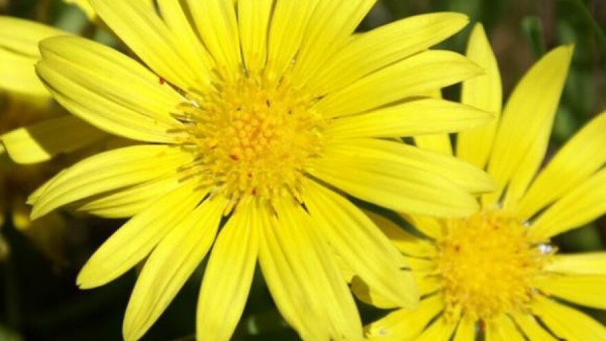 Dvostruko više novca ulaskom u EU