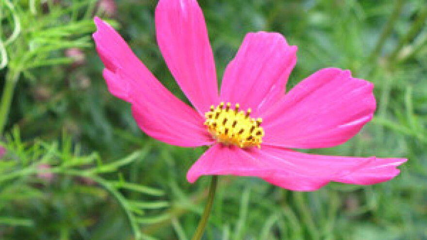 Francusko-hrvatsko partnerstvo u sektoru poljoprivrede