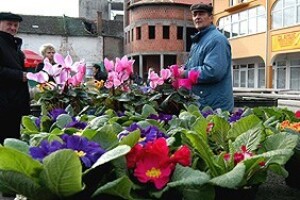Brodske cvjećare više od recesije brine konkurencija iz uvoza