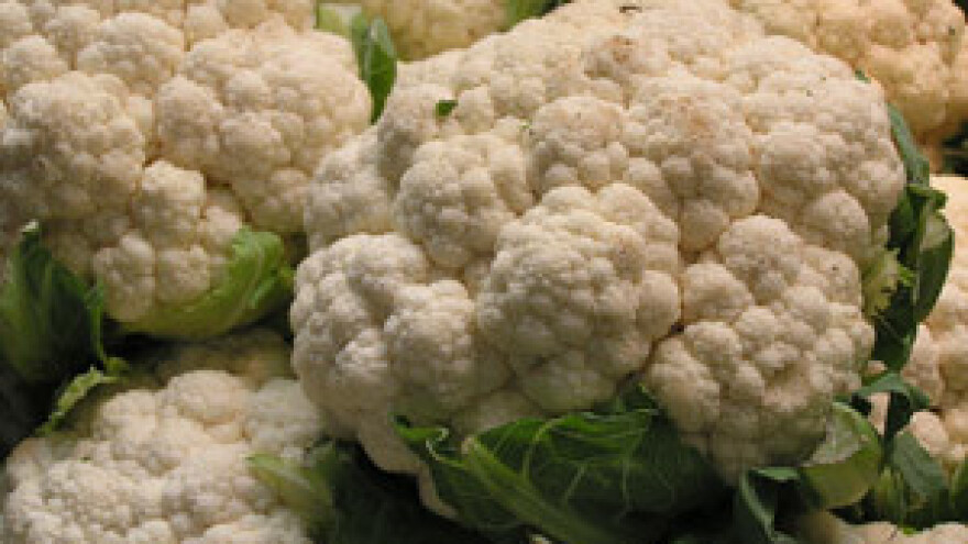 Povrtlarska radionica na OPG-u Pojer