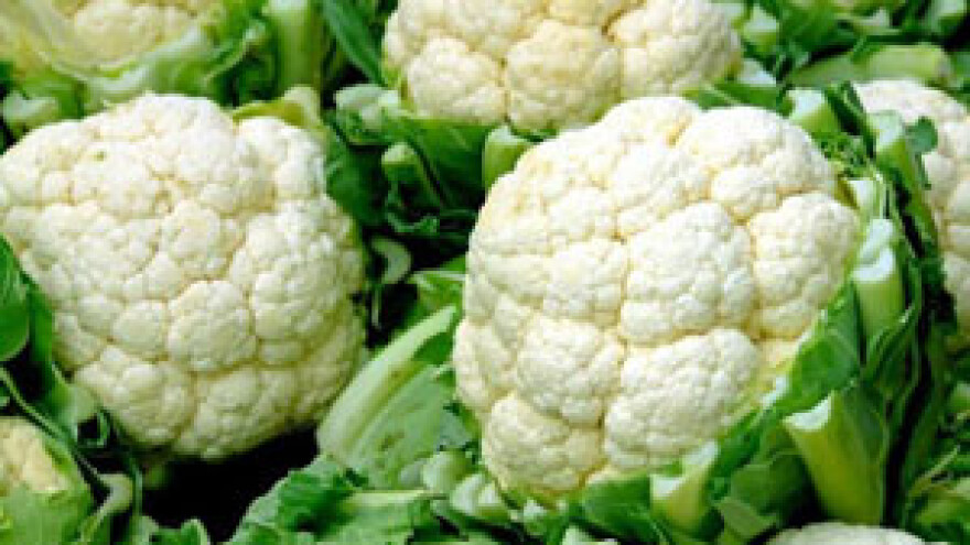 Priprema tla za kupusnjače