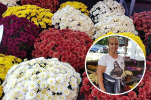 Cvjetna idila porodice Budimir: Ljubav prema cvijeću nije rezervisana samo za žene