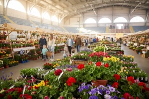 Cvjetna priča Grada Delnica