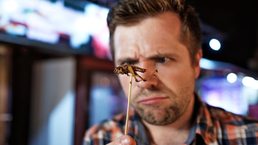 Svinjetina, jagnjetina, piletina... Jeste li za porciju cvrčkovine?