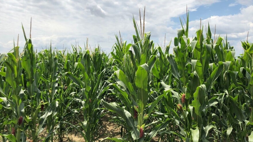 Do sredine sedmice stabilno, zatim par dana promjenljivo s pljuskovima