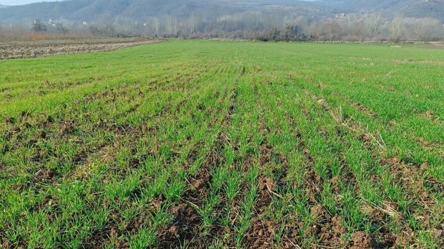 Suvo i toplije vreme narednih dana, umerena suša na severu zemlje