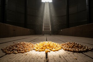 Da li se oporavlja tržište roba primarnog agrara?