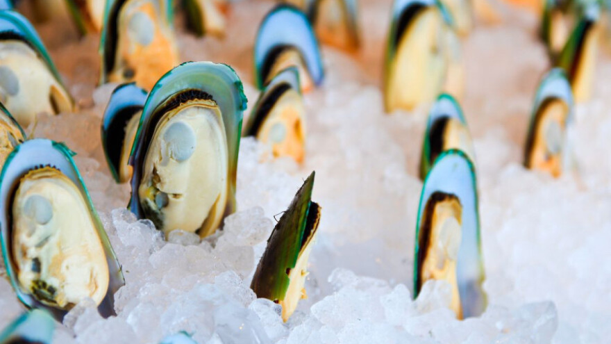 Iz prodaje povučene dagnje zbog biotoksina