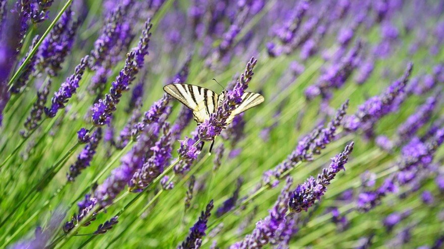 Znanost i struka za održivu poljoprivredu u Hrvatskoj