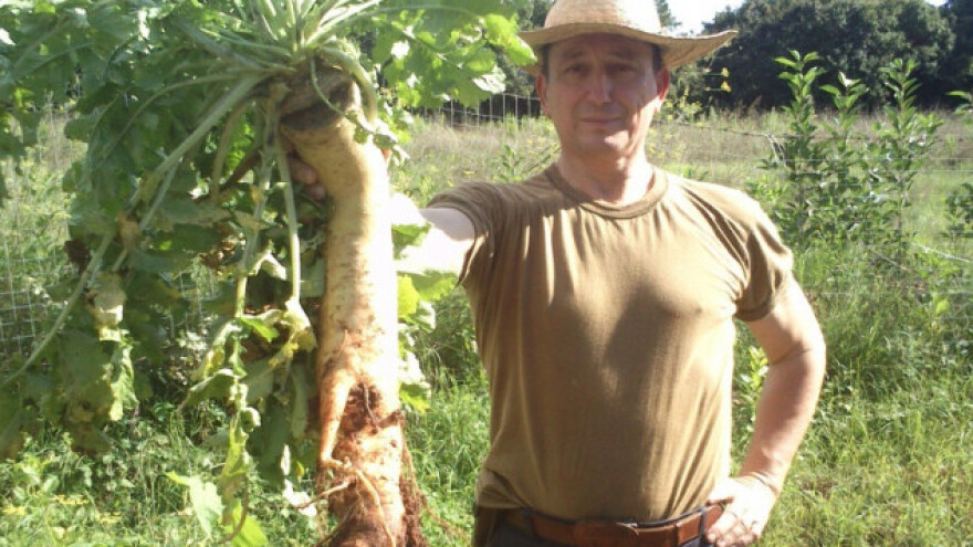 Zimi uzgaja bukovače, a ljeti azijsko povrće