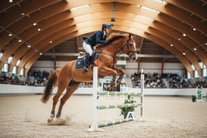 Đakovačka zatvorena jahaonica označila početak rada