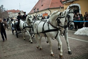 Pokladni gastro fest u sklopu Đakovačkih bušara
