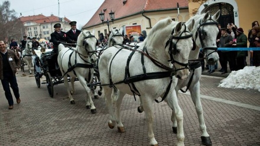 Pokladni gastro fest u sklopu Đakovačkih bušara