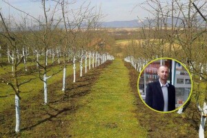 Dalibor Jović krenuo je od malog voćnjaka, a danas je u velikom biznisu