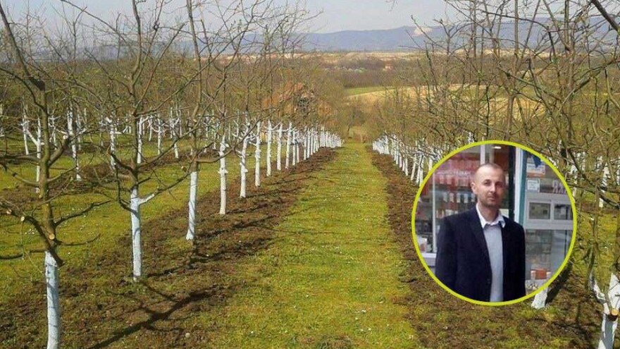 Dalibor Jović krenuo je od malog voćnjaka, a danas je u velikom biznisu