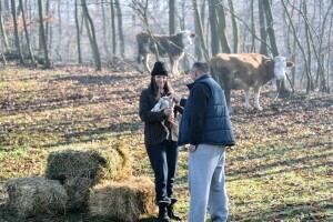 Počeli sa jednom kozom: Danas imaju stado, ali i krave, kokoške, plastenik - pravu eko farmu