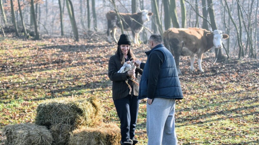 Počeli sa jednom kozom: Danas imaju stado, ali i krave, kokoške, plastenik - pravu eko farmu