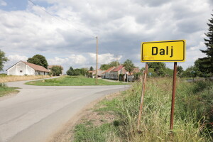 Uvođenje strožih mjera u općini Erdut zbog afričke svinjske kuge