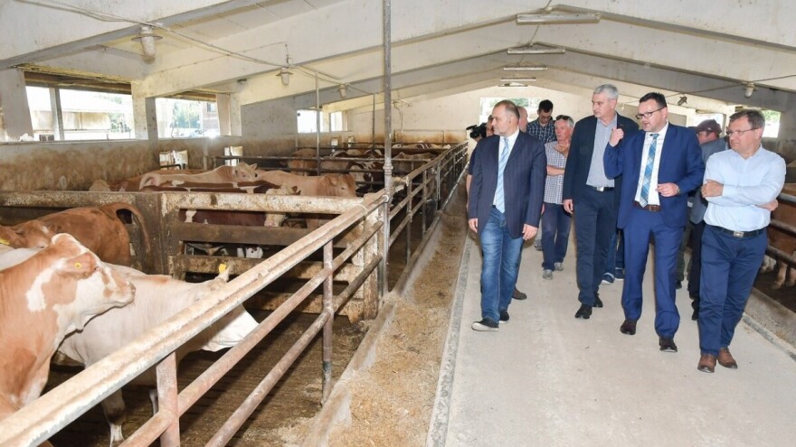 Otvorena farma junadi Šumbar, cilj je doći do 15.000 junadi godišnje