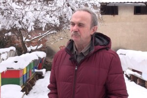 Damir Sertić: Otvarajte košnice na kratko, samo ako je potrebna hitna intervencija