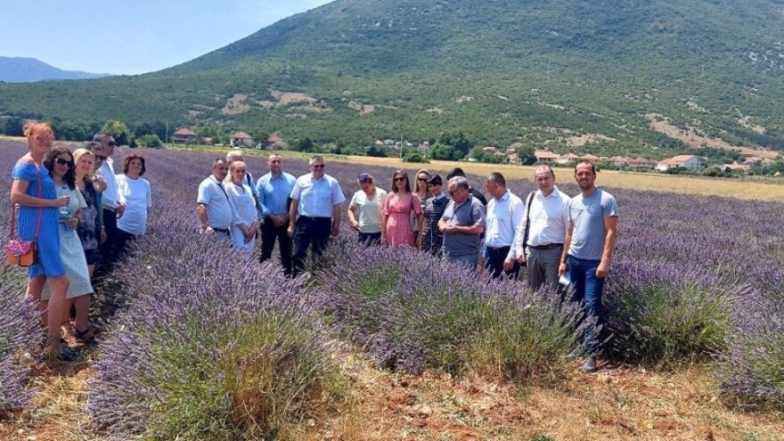 Imaju sertifikat za sve organske proizvode - tko se sve okupio u ljubljinskom polju?