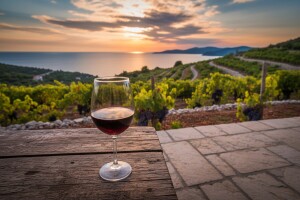 Dan otvorenih vrata peljeških podruma