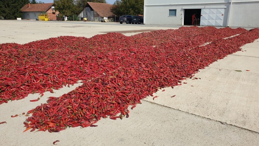 Šafram traži nove kooperante, želja je sve potrebe za sirovinom pokrivati u Hrvatskoj