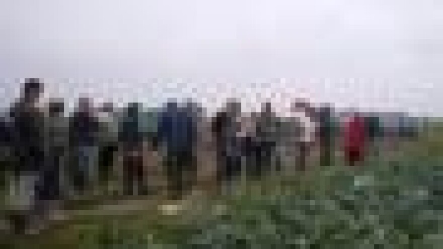 Dan pokusno-pokaznog polja