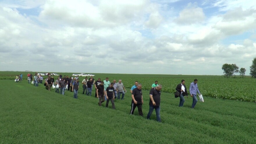 Proizvodnja šećera na njivi korist i za industriju i za poljoprivrednike