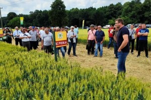Dan polja BC strnih žitarica pokazao - bit će ovo dobra godina