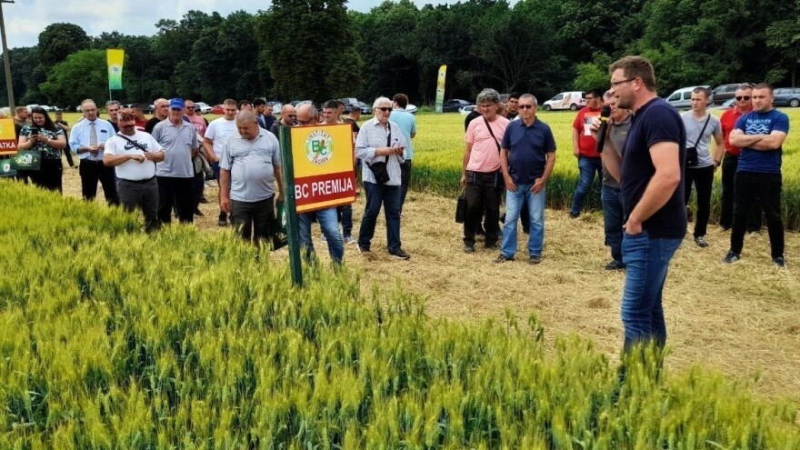 Dan polja BC strnih žitarica pokazao - bit će ovo dobra godina
