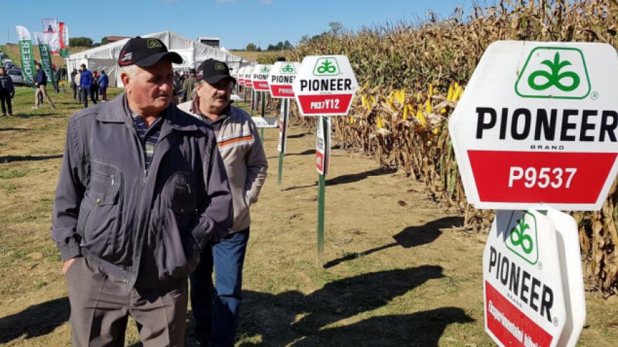 Pioneer kukuruzi brze regeneracije!