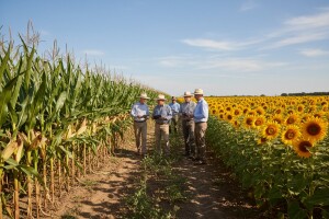 Dan polja kukuruza, soje, suncokreta i krmnog bilja