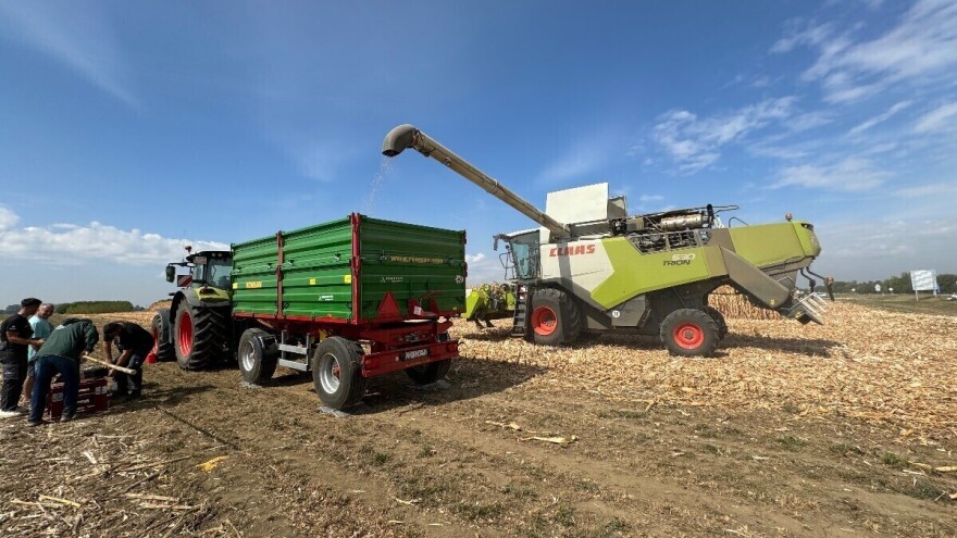 Više sijali, manje proizveli: Kukuruza je gotovo 20 posto manje, rast nam bilježi jedino soja